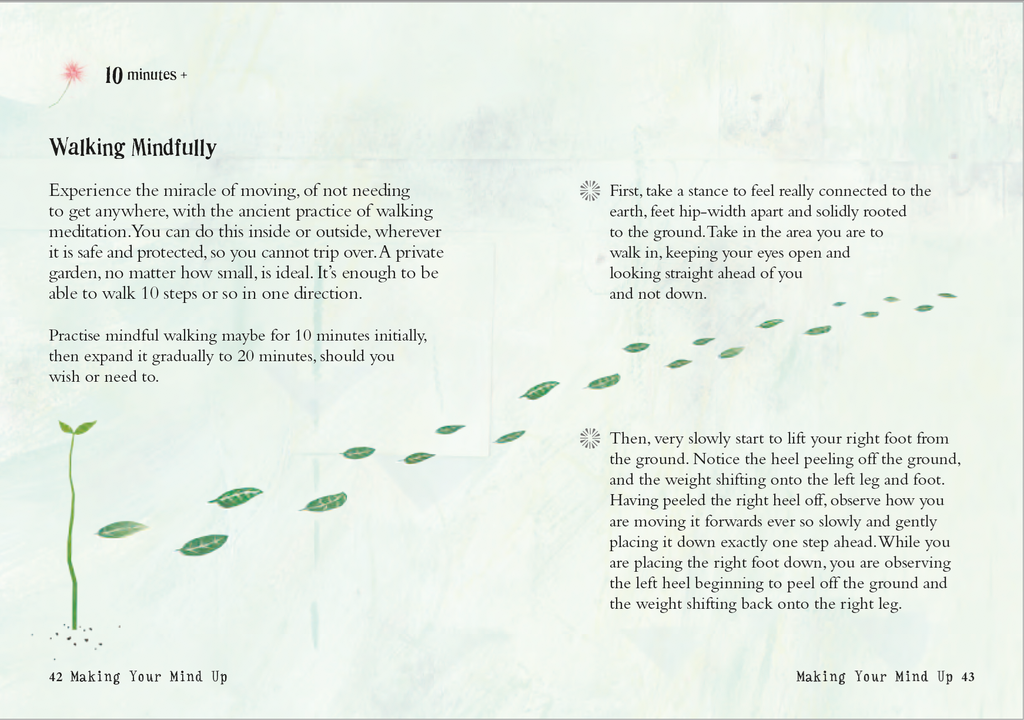 Little Book of Mindfulness: Flexibound