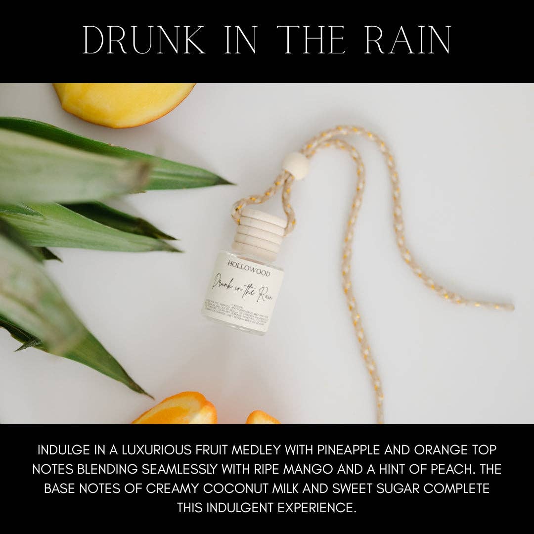 Drunk in the Rain Car Diffuser
