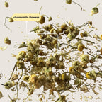 Chamomile Mini Tea Tube (5 tea bags)